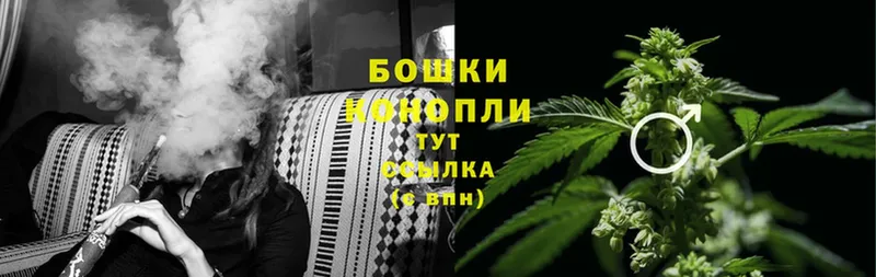 как найти наркотики  Карабаново  Конопля SATIVA & INDICA 